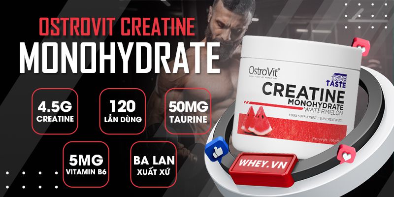 Ostrovit Creatine Monohydrate 300g là chất bổ sung creatine hàm lượng cao cho cho cơ bắp, đặc biệt tinh khiết, sản phẩm số 1 tại Ba Lan...