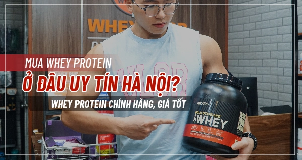 mua-whey-protein-o-dau-uy-tin-ha-noi