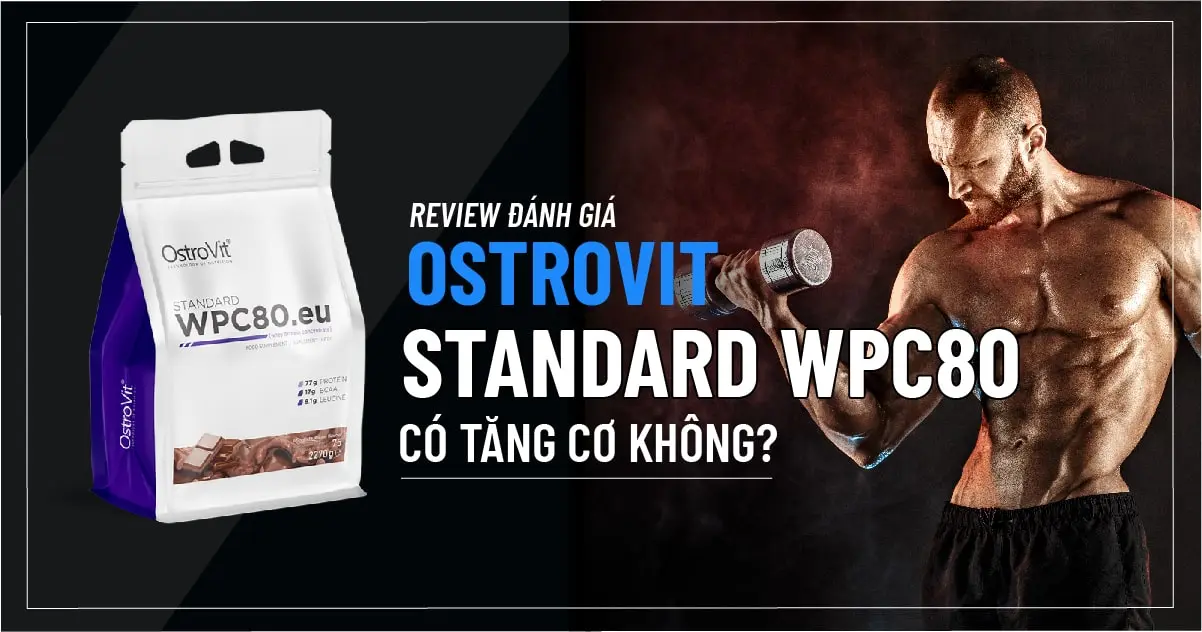 review-danh-gia-ostrovit-standard-wpc80-co-07-min