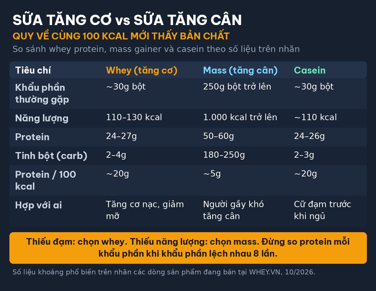 Bảng so sánh sữa tăng cơ và sữa tăng cân — protein trên 100 kcal của whey, mass gainer và casein