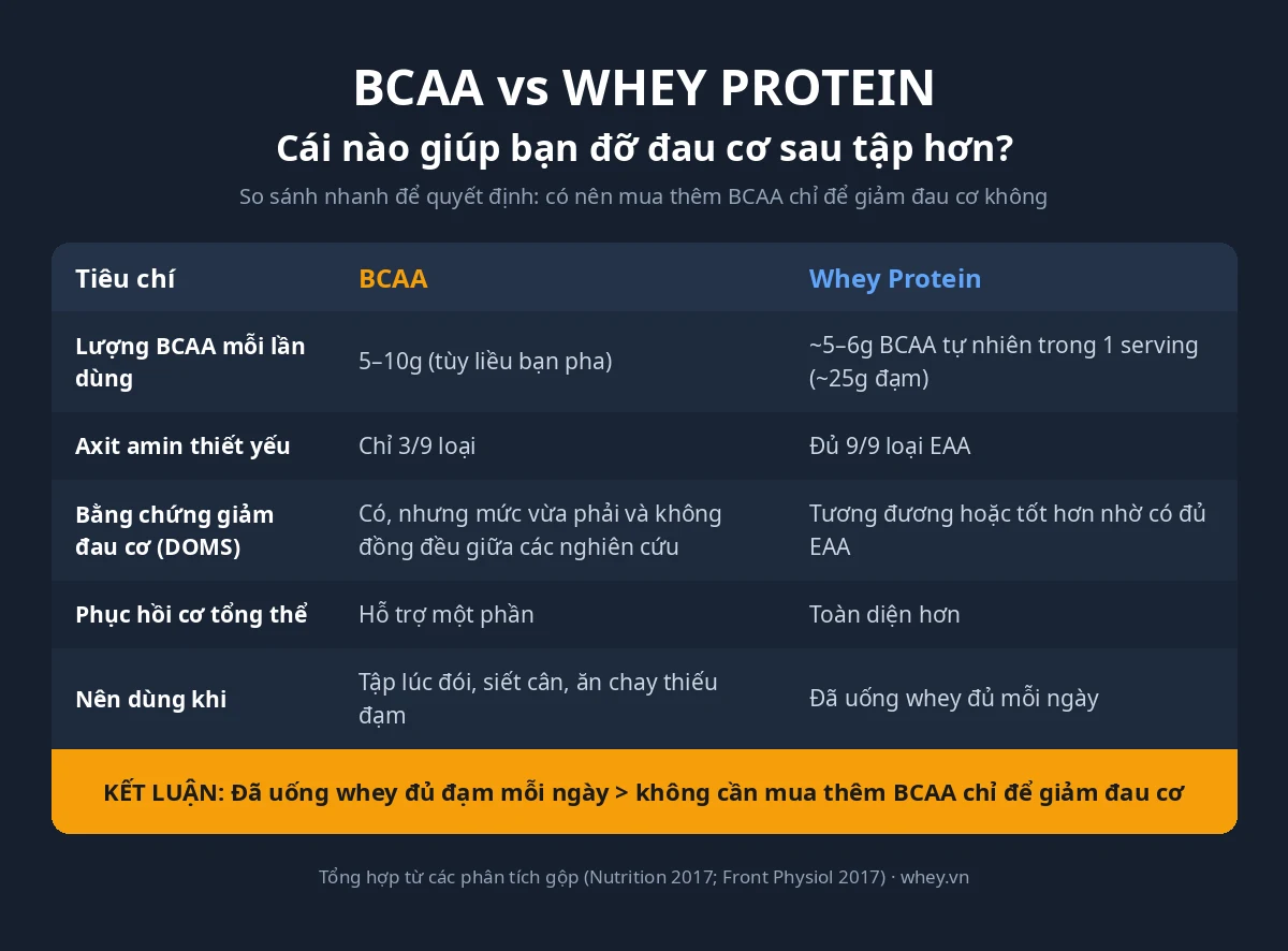 Infographic so sánh BCAA và whey protein về khả năng hỗ trợ giảm đau cơ sau tập