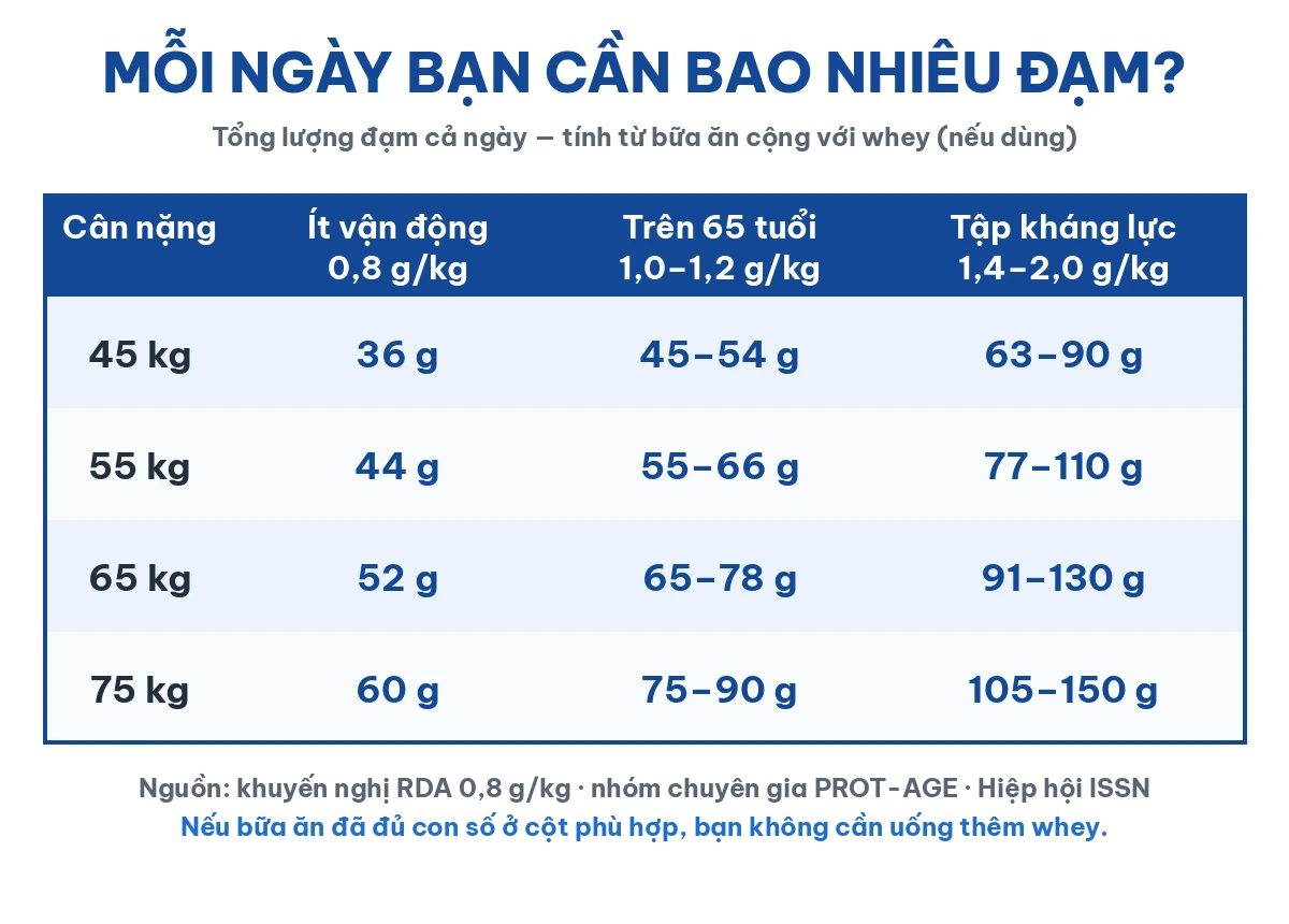 Bảng nhu cầu đạm mỗi ngày theo cân nặng cho người ít vận động, người trên 65 tuổi và người tập kháng lực