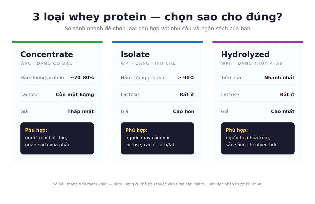 Infographic so sánh 3 loại whey protein Concentrate, Isolate và Hydrolyzed