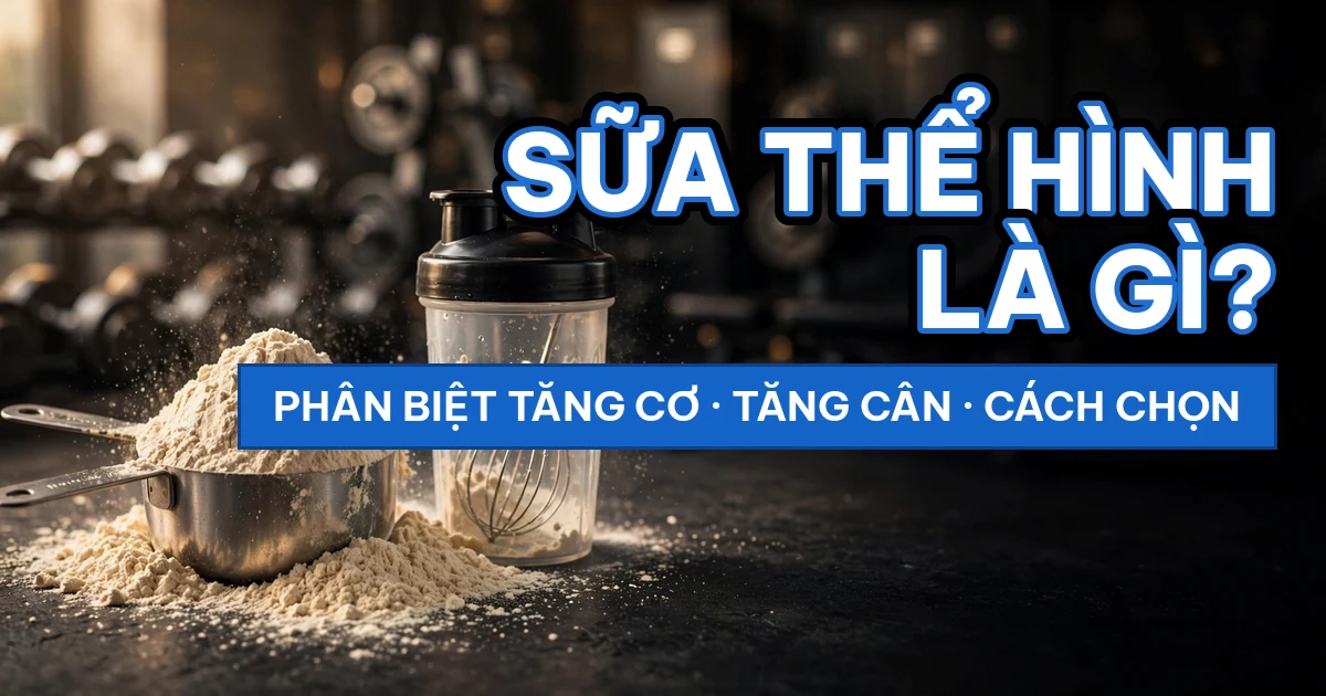 Sữa thể hình là gì