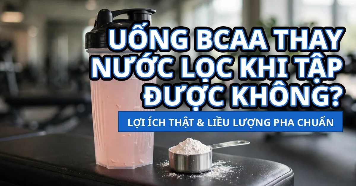 Uống BCAA thay nước lọc khi tập được không