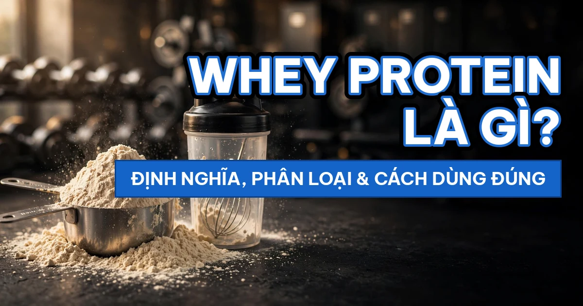 Whey protein là gì - định nghĩa, phân loại và cách dùng đúng